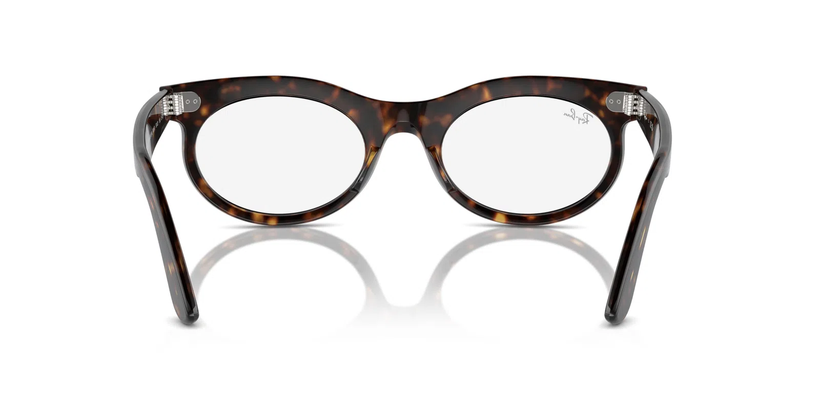 Ray-Ban Wayfarer Oval 2242F Sunglasses - view 89